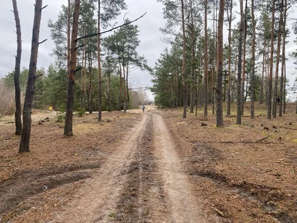 Залучили водолазів: на Камінь-Каширщині другий день шукають зниклу 17-річну дівчину (фото)