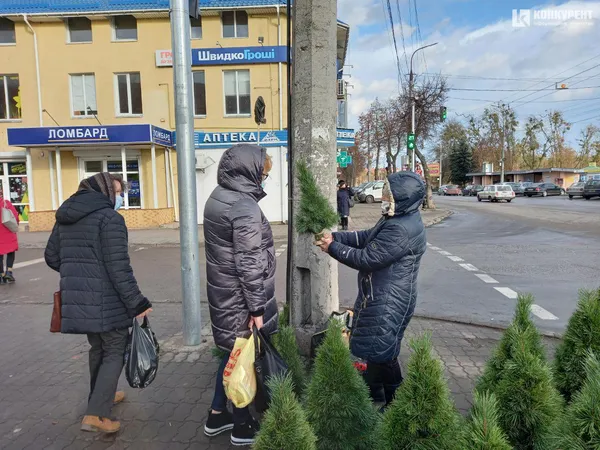 Один день до свята: скільки коштують ялинки біля Старого ринку у Луцьку (фото)