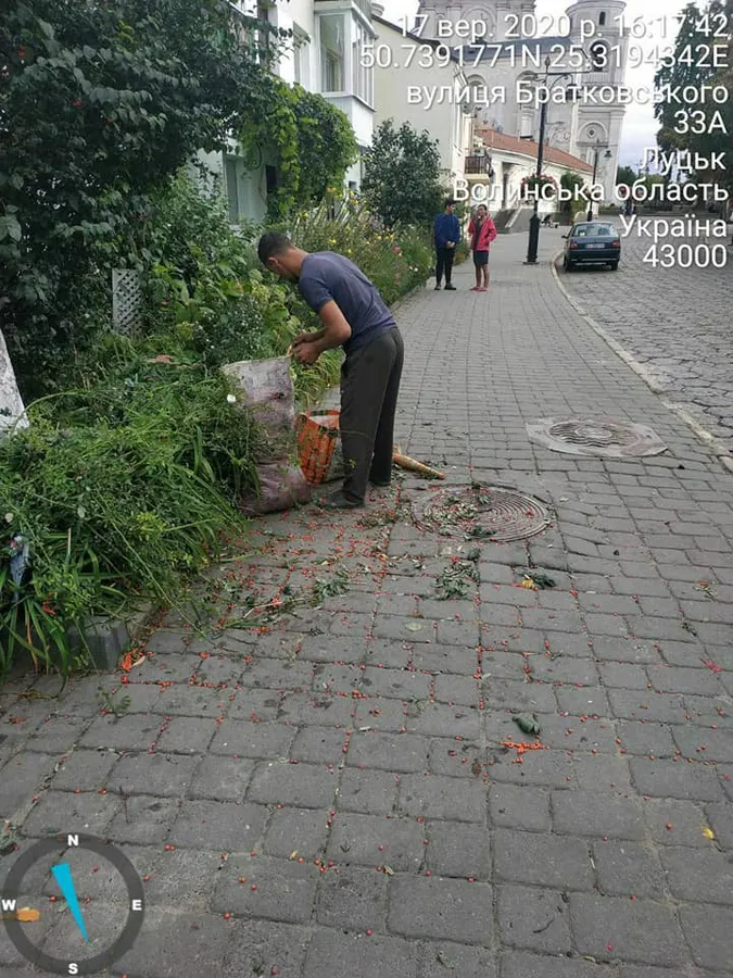 У Луцьку роми потрощили кущі горобини (фото)