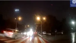 У Луцьку водія покарали за те, що не пропустив чоловіка на переході (відео)