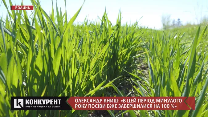 Як заморозки та підтоплення вплинуть на врожай (відео)