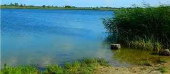 На Волині серед дикої природи ховається глибоке льодовикове озеро з бірюзово-молочною водою (відео)