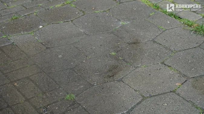 Мокрі етюди: як у серці Луцька люди тікали від літнього дощу (фото)
