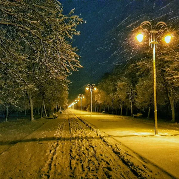 Луцьк замело: лучани діляться неймовірними фото 