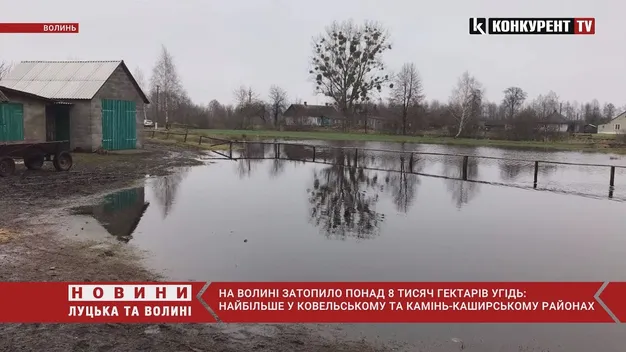 На Волині затопило понад вісім тисяч гектарів сільгоспугідь: де найбільше (відео)