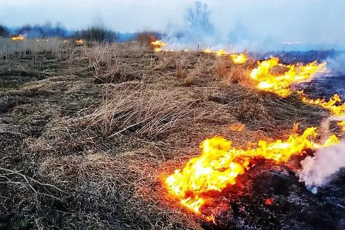 Волинські рятувальники спіймали на «гарячому» палійку сухотрав'я