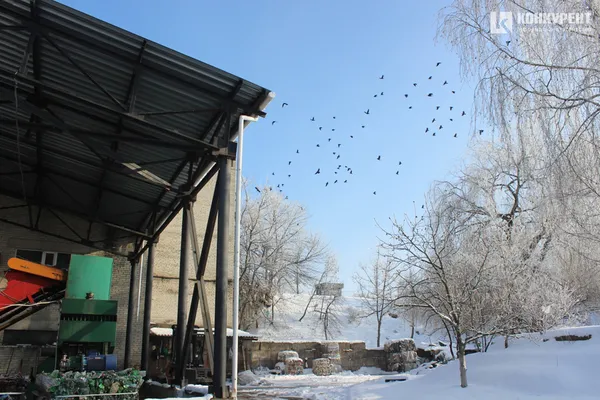Мільйонні збитки та переповнене звалище: що не так із сортуванням сміття у Луцьку (фото)