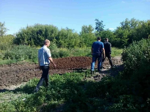 Сморід на Львівській: знайшли ще одну причину (фото) 
