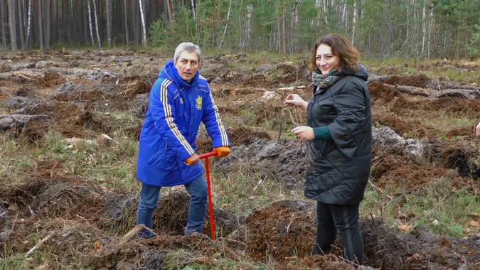 У Ковельській громаді висадили майже вісім тисяч молодих дерев (фото)
