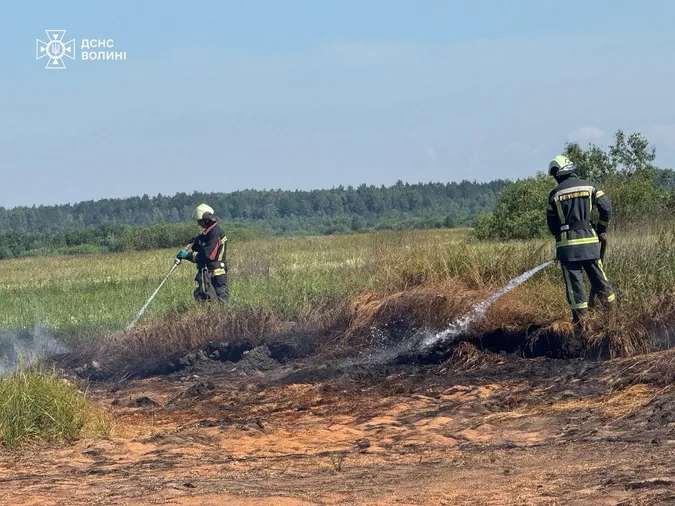 На Волині рятувальники приборкують пожежу торфовища (фото)
