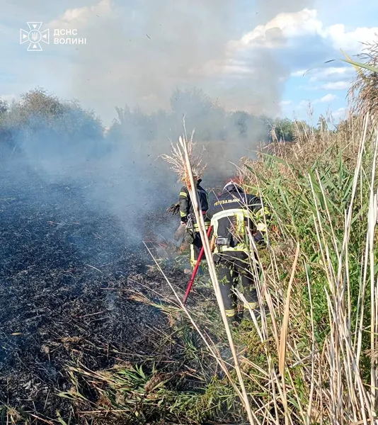Вогонь охопив 6 гектарів: на Волині за дві доби сталися 8 пожеж (фото)