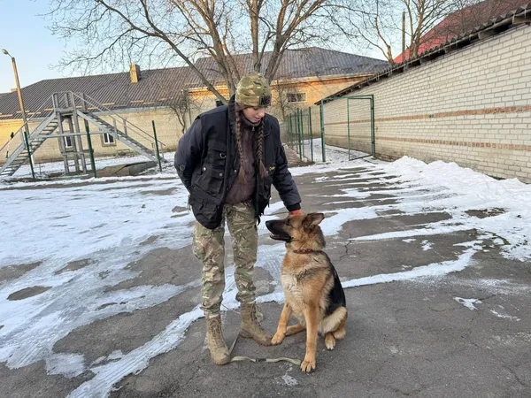 Будки, калорійне харчування та тренування: як живуть «чотирилапі поліціянти» на Волині (фото)