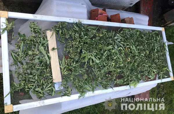 На Волині правоохоронці знешкодили групу наркоторговців (фото)
