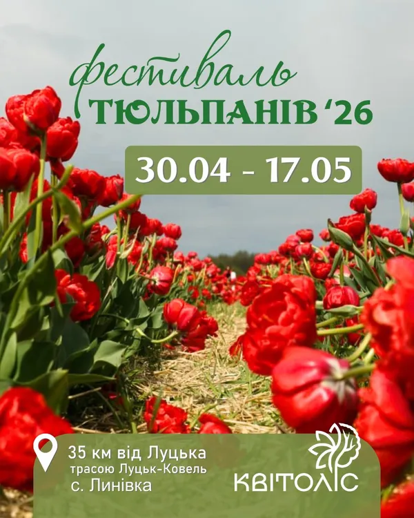 На Волині відкриють фестиваль тюльпанів: назвали дату і що чекає гостей