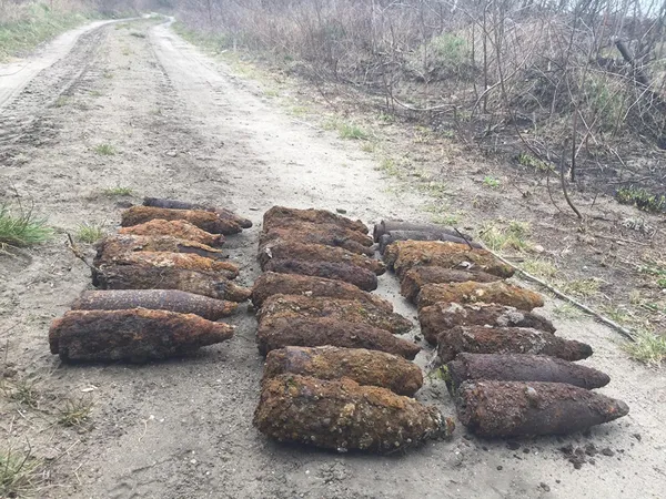 Мінометні міни, протитанкові гранати: на Волині знищили 103 боєприпаси (фото)