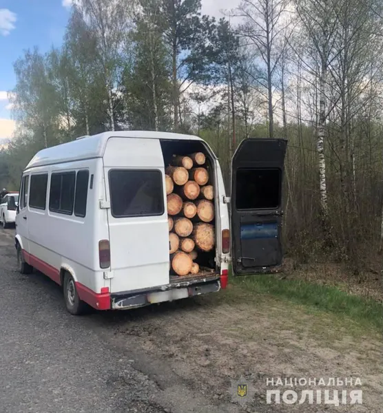 Напакували бус «під зав'язку»: на Волині зловили крадіїв лісу (фото, відео)