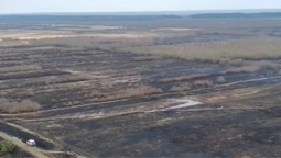На Волині палає величезне торфовище (відео)
