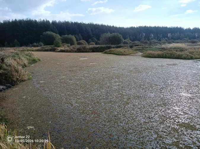 Стохід стрімко міліє: на Волині річка місцями повністю пересохла (фото)