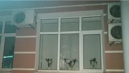 Департаменту мунварти в Луцьку розбили вікна (фото, відео)