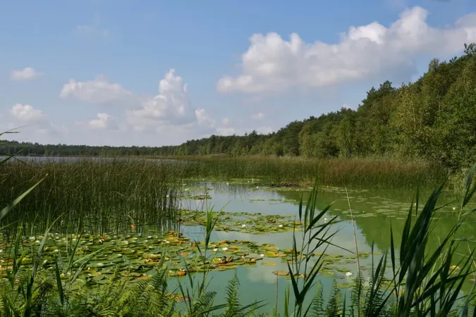 Фото ілюстративне