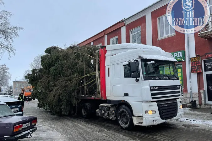 🎄 У Володимирі встановили головну ялинку міста (фото)