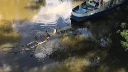 У Луцьку очищують Стир для судноплавства (фото, відео)