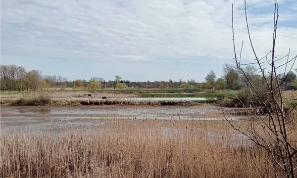 У Луцькому районі здають в оренду дві великі водойми для розведення риби
