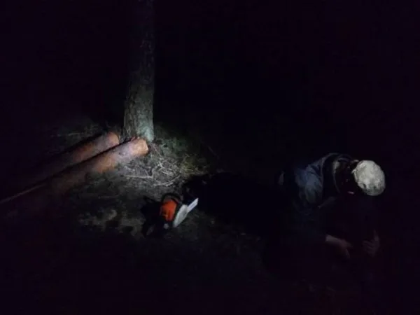 На Волині в рекреаційному пункті  упіймали чоловіка з бензопилою