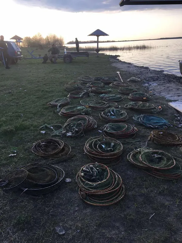 Волинські екоінспектори передали ЗСУ 55 кілограмів риби зі Світязя (фото, відео)