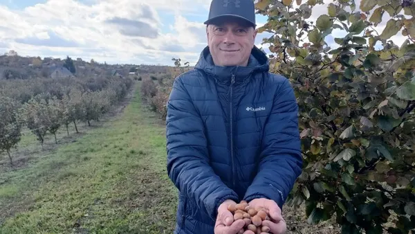 Волинянин отримав грант від держави і почав вирощувати фундук (відео)