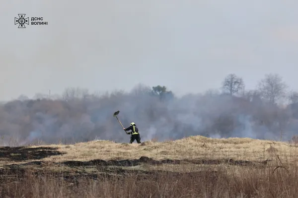 На Волині горіло 1,5 гектара сухостою: палійку затримали (фото)