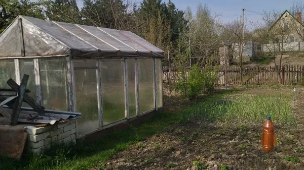 Теплиця на дачі подружжя