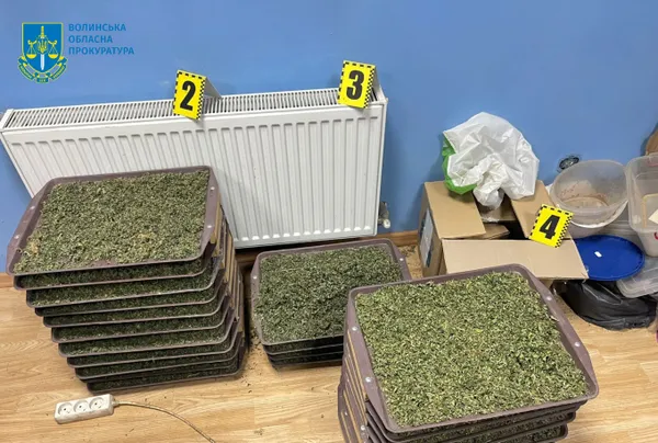 Двоє лучан торгували канабісом з «оранжереї» у Горішніх Плавнях (фото)