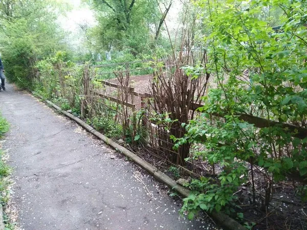 Геть штахети та корчі під вікнами будинків: у Луцьку «зносять» паркани (фото)