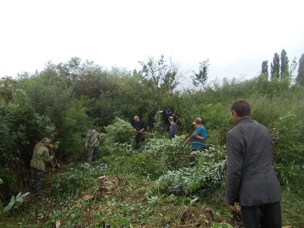 На Волині занедбаний торф'яник перетворюють на рекреаційний комплекс (фото, відео)