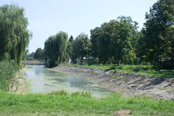 Очистка каналів вартувала бюджету 200 тисяч гривень