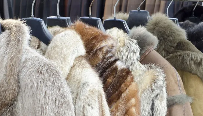 Модні доми Saint Laurent і Brioni відмовляться від справжнього хутра