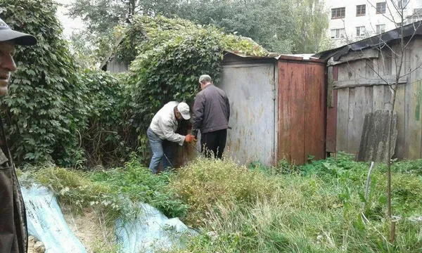 Муніципали переконали лучан знести захаращені гаражі (фото)
