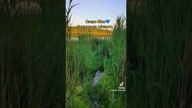 На Волині у Білому озері можна зловити велику щуку та покупатися (відео)