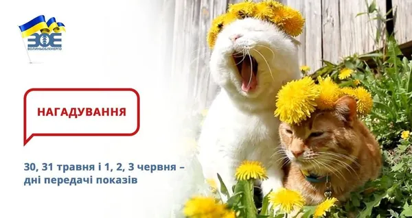 Покази електролічильника: волинянам нагадали, коли і як подавати
