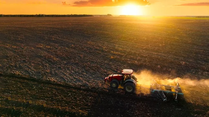 Українські аграрії не планують зменшувати посівні площі у 2024 році