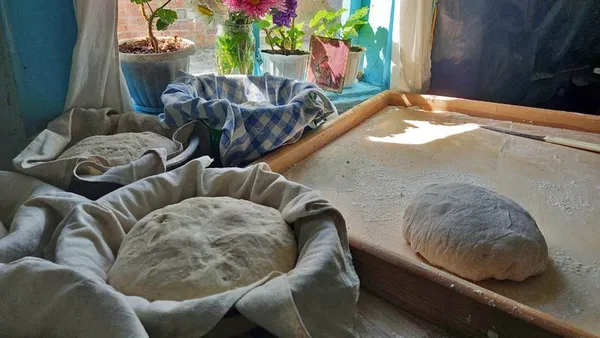 Булки хліба перед випіканням.