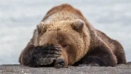 Хмарно з проясненнями: погода в Луцьку в четвер, 25 квітня