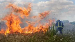 Паліїв зловили «на гарячому»: у Луцькому районі рятувальники ліквідували серію пожеж (фото)