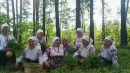Як на Поліссі співають під час збору чорниць (відео)