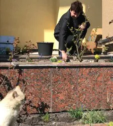 Волинські митники озеленили пункти пропуску