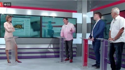 Чи потрібен новий закон про бурштин: на Волині сумніваються (відео)