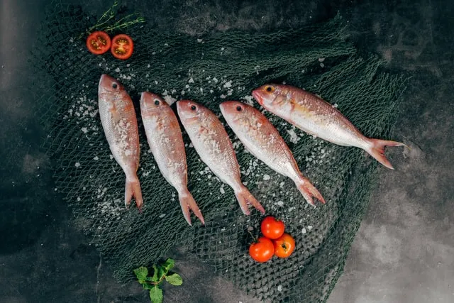 Яка риба та морепродукти небезпечні для здоров'я через високий вміст ртуті