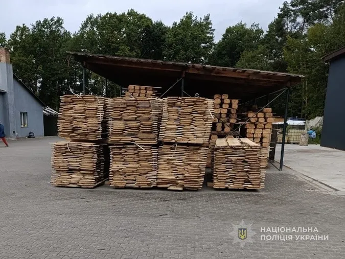 Поліція «накрила» ділків, які крали ліс на Ківерцівщині (фото, відео)