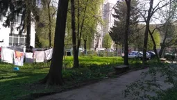 Без асфальту, світла і гойдалок – у Луцьку просять облаштувати двір-пустку (фото)